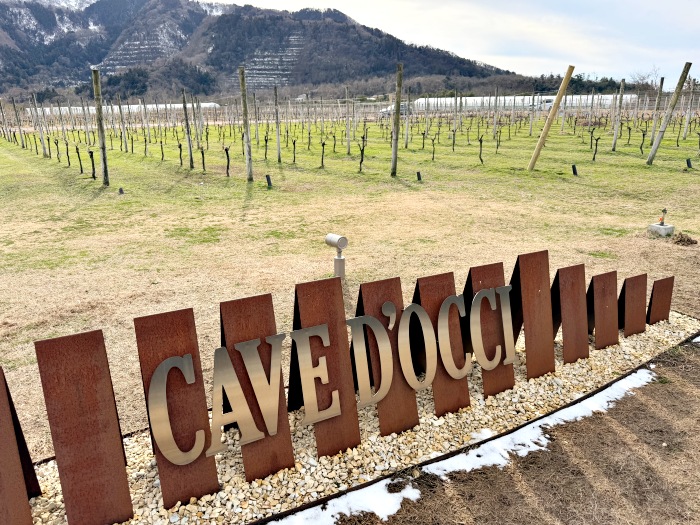 新潟不只有清酒｜走進日本海旁的歐洲靈魂酒莊 カーブドッチワイナリー（Cave d’Occi Wine